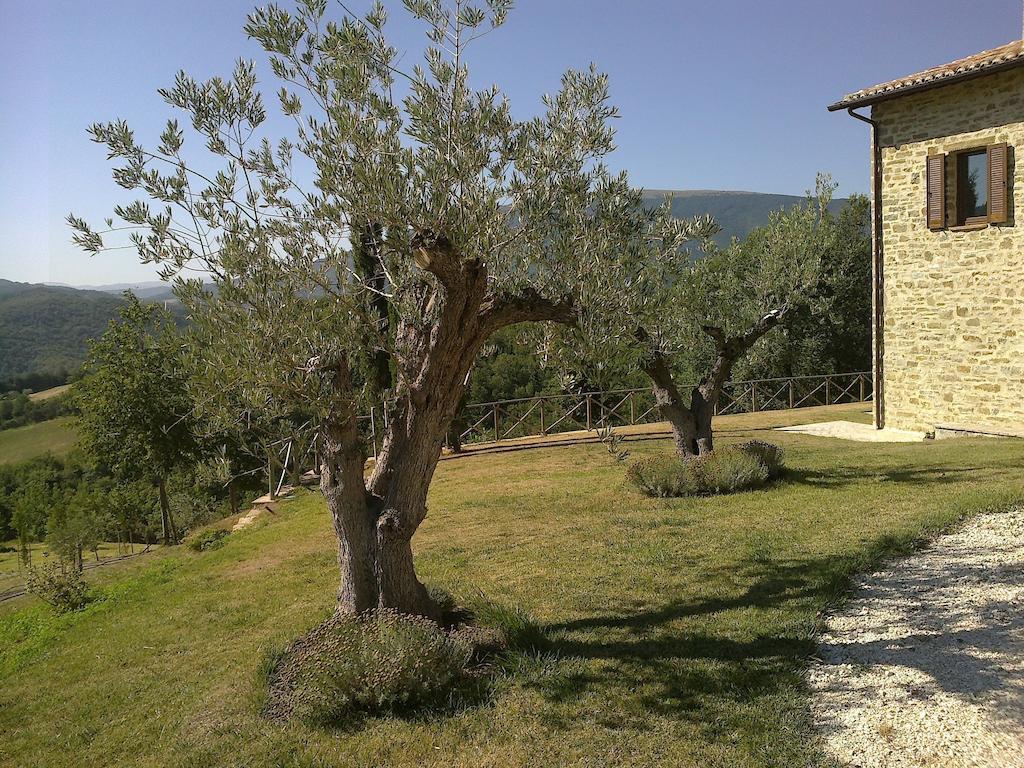 Agriturismo Paradiso 44 Assisi Bagian luar foto