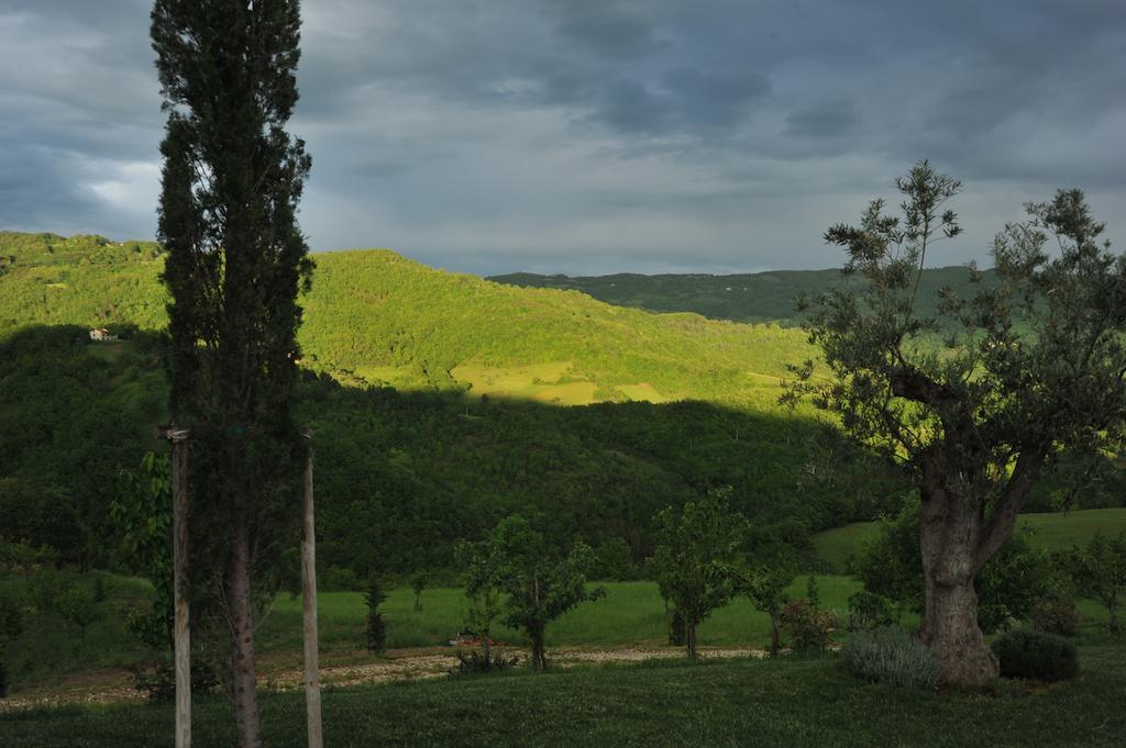 Agriturismo Paradiso 44 Assisi Bagian luar foto