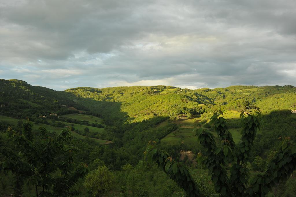 Agriturismo Paradiso 44 Assisi Bagian luar foto