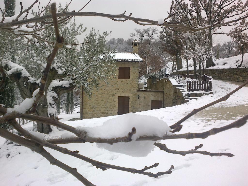 Agriturismo Paradiso 44 Assisi Bagian luar foto