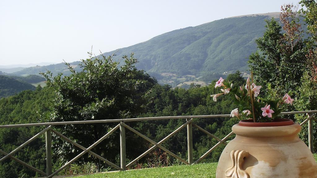 Agriturismo Paradiso 44 Assisi Bagian luar foto