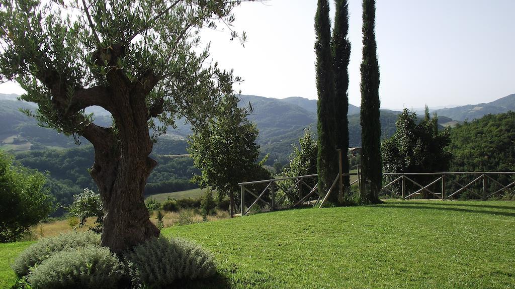 Agriturismo Paradiso 44 Assisi Bagian luar foto