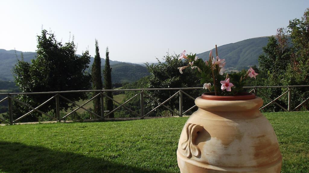 Agriturismo Paradiso 44 Assisi Bagian luar foto