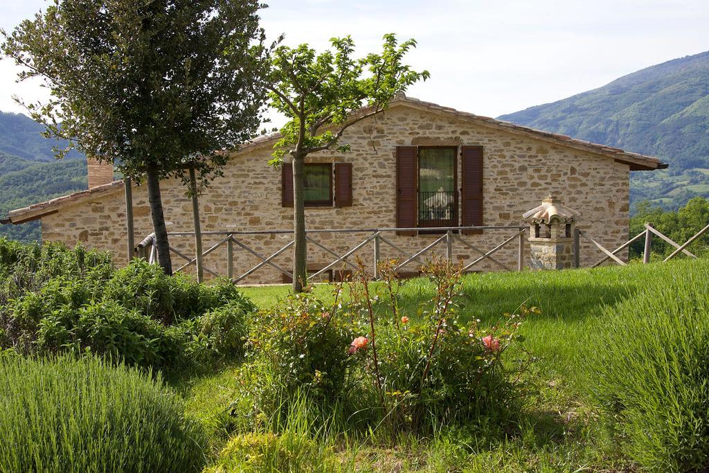 Agriturismo Paradiso 44 Assisi Bagian luar foto
