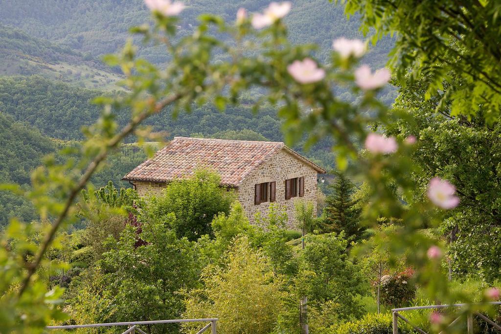 Agriturismo Paradiso 44 Assisi Bagian luar foto